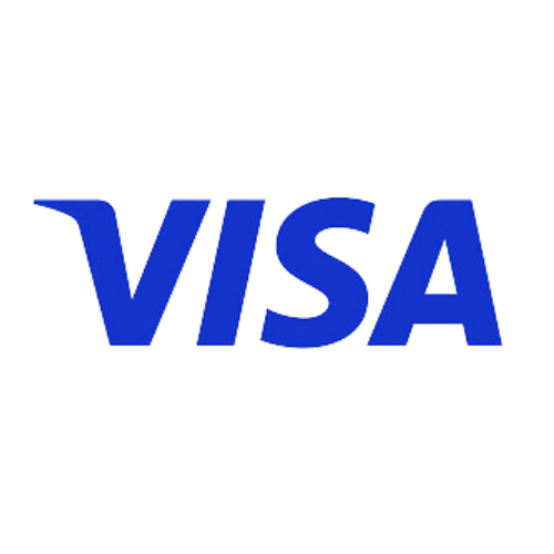 Logo de visa